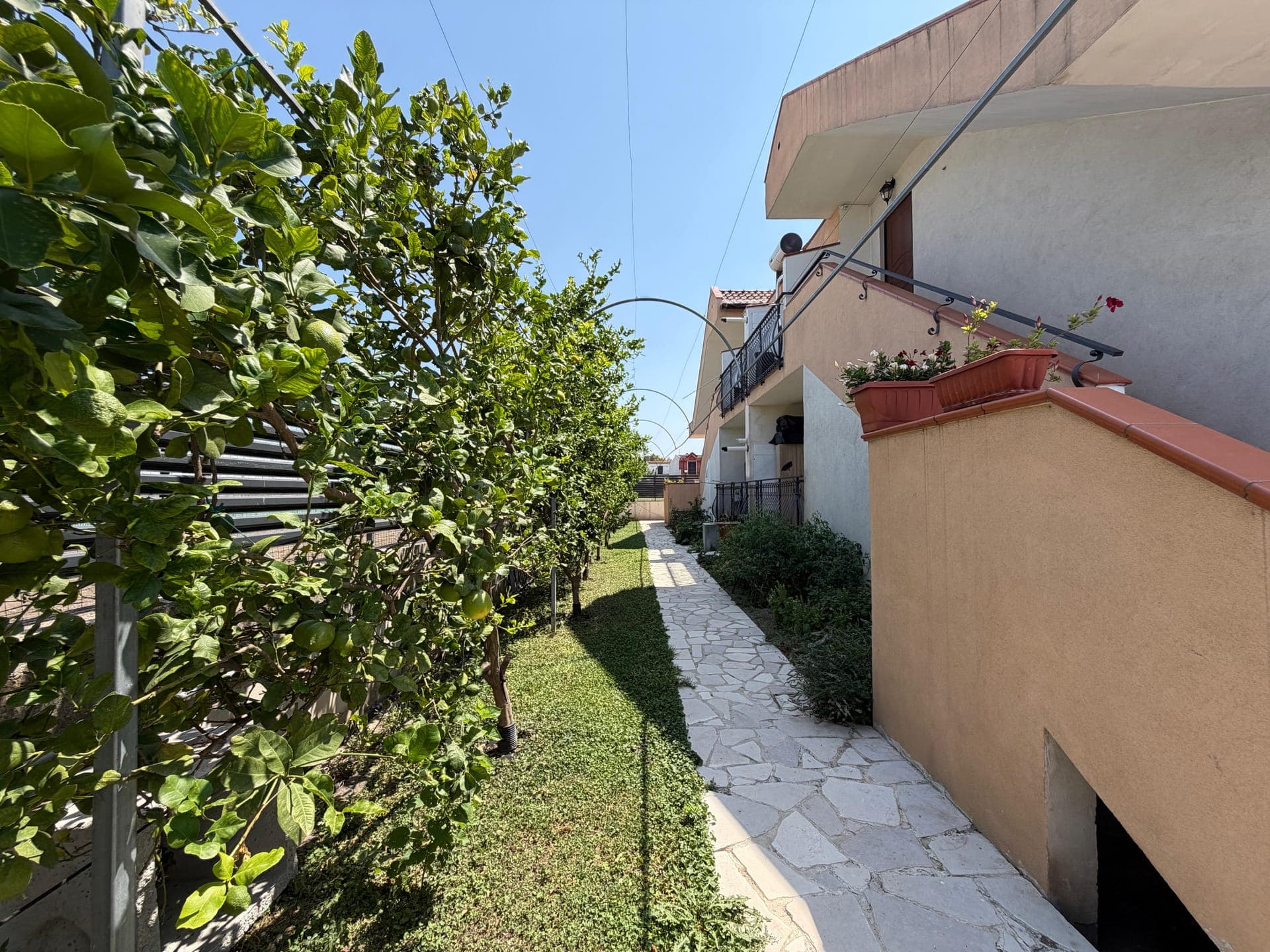 Der Steinweg zwischen den Zitrusbäumen an der Seite der Villa
